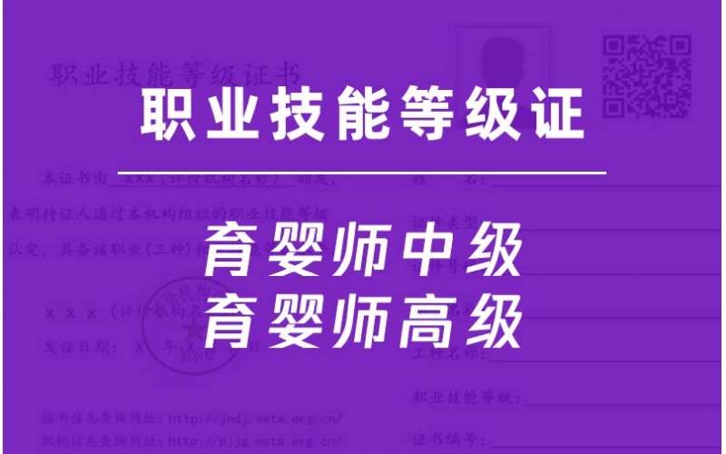 育嬰員中級-育嬰師高級-職業技能等級證培訓